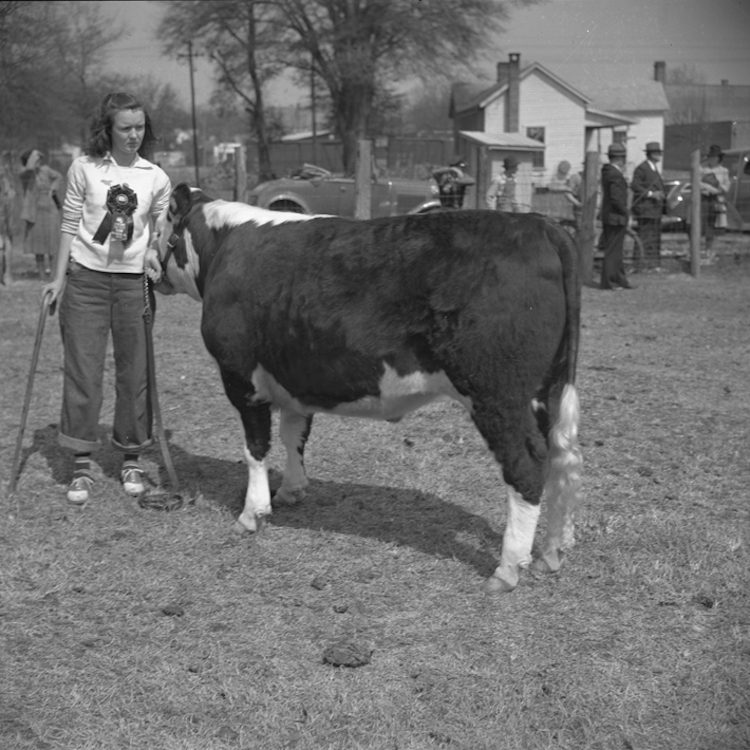 Stories, photos & funds sought for Georgia Cattle History Book